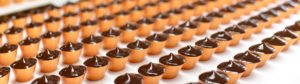 Bakery / Biscuit Conveyor Belts