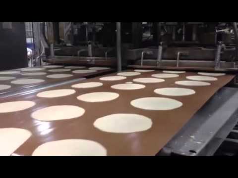 conveyor belts Michigan
