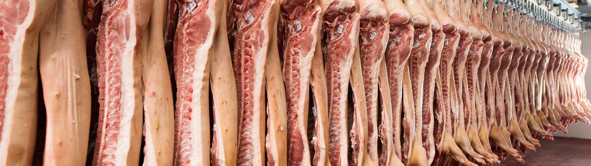 MEAT AND POULTRY CONVEYOR BELTS