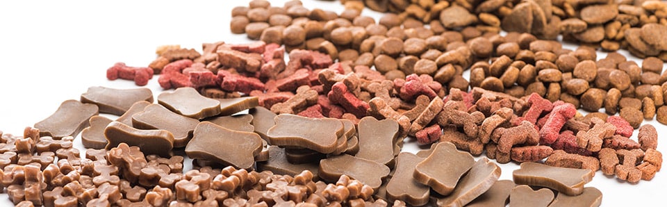 Pet food Production Conveyor Belt