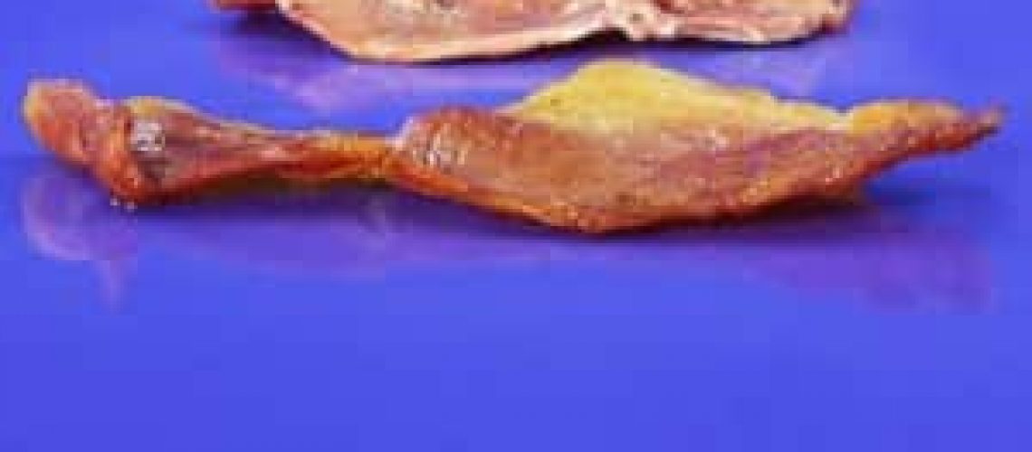 How To Join A PTFE Cast film Laminate Belt
