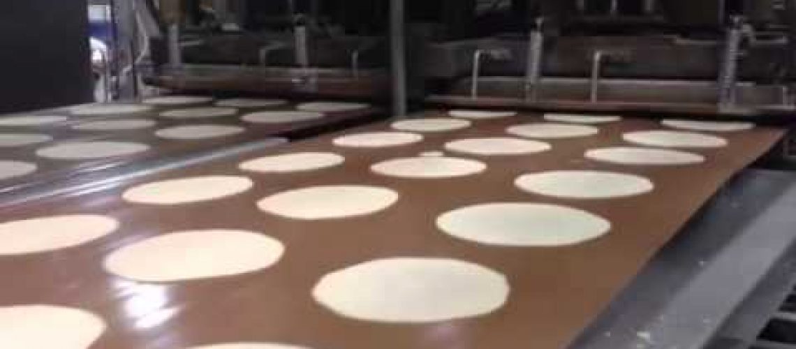 conveyor belts Michigan