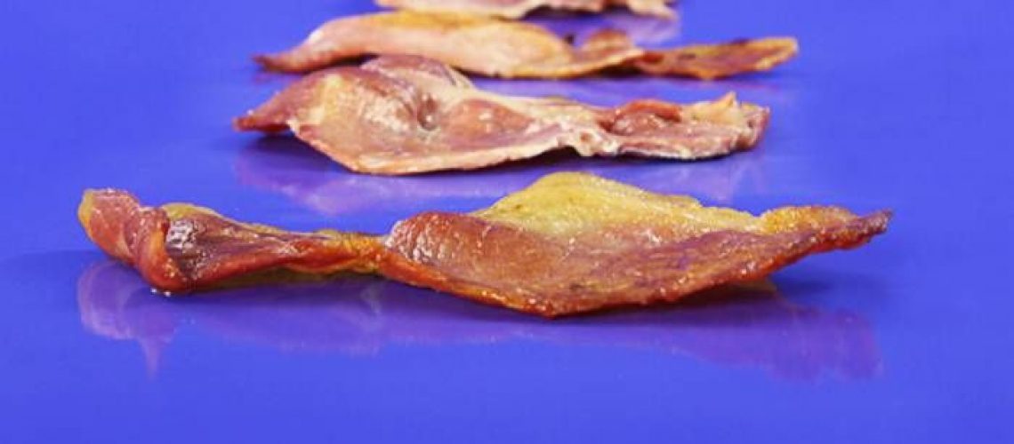 PTFE Kontaktgrill Transportbänder